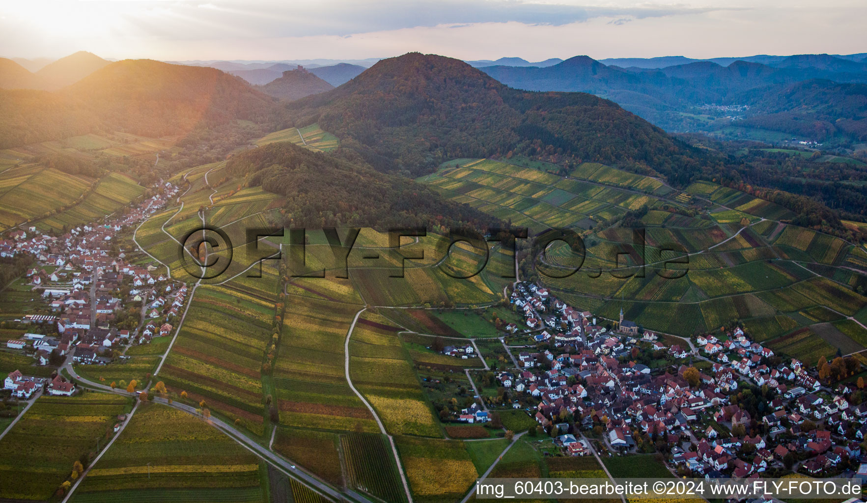 Photographie aérienne de Châtaignier à Birkweiler dans le département Rhénanie-Palatinat, Allemagne