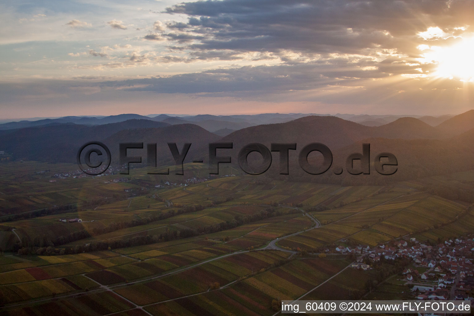 Vue aérienne de Quartier Arzheim in Ranschbach dans le département Rhénanie-Palatinat, Allemagne