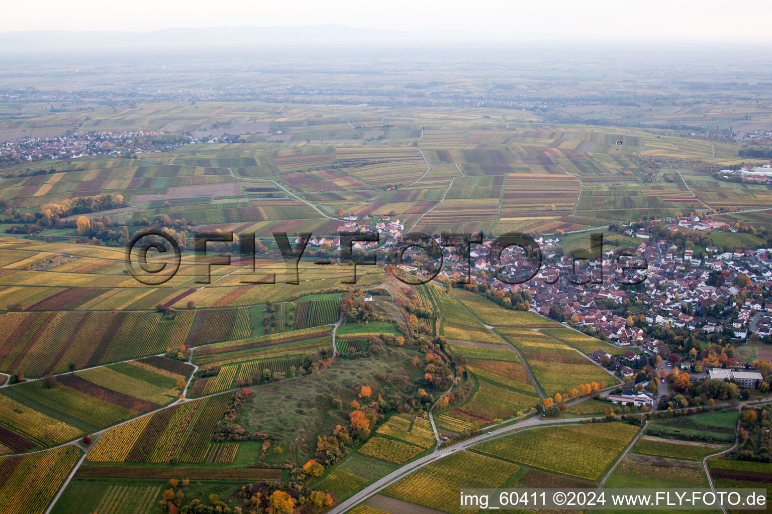 Photographie aérienne de Petit kalmit à Ilbesheim bei Landau in der Pfalz dans le département Rhénanie-Palatinat, Allemagne