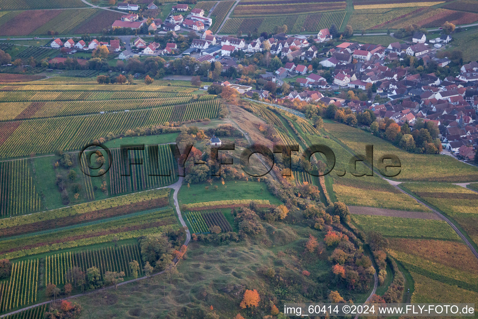 Vue aérienne de Paysage viticole des régions viticoles avec la chapelle catholique "Kleine Kalmit" à Landau in der Pfalz à le quartier Ilbesheim in Ilbesheim bei Landau in der Pfalz dans le département Rhénanie-Palatinat, Allemagne