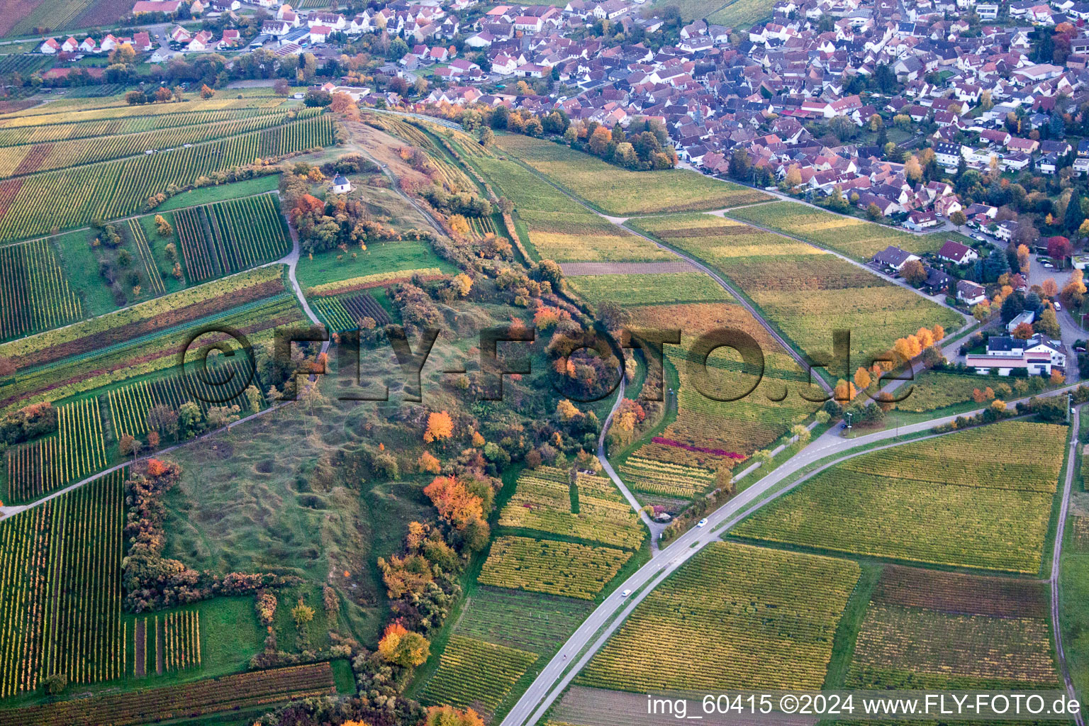 Vue oblique de Petit kalmit à Ilbesheim bei Landau in der Pfalz dans le département Rhénanie-Palatinat, Allemagne