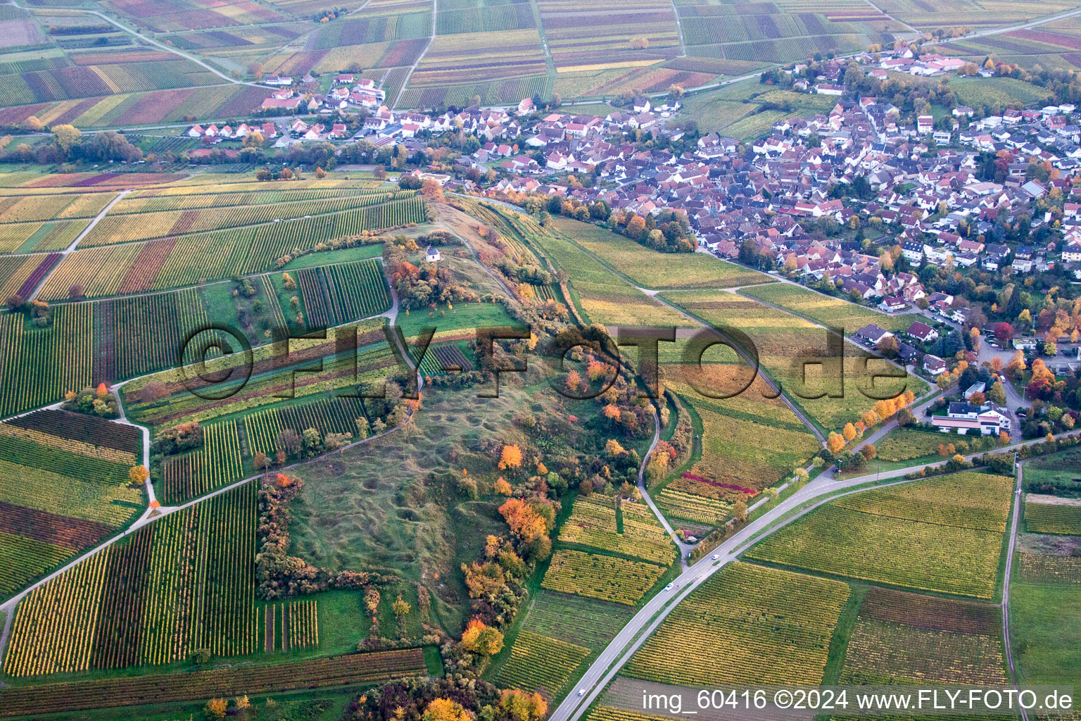 Petit kalmit à Ilbesheim bei Landau in der Pfalz dans le département Rhénanie-Palatinat, Allemagne d'en haut