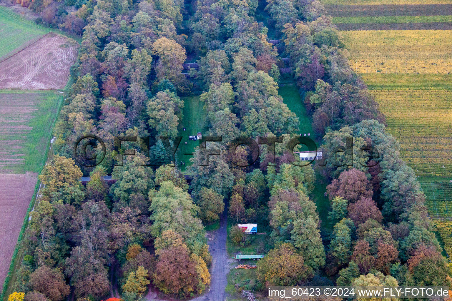 Vue aérienne de Insheim dans le département Rhénanie-Palatinat, Allemagne