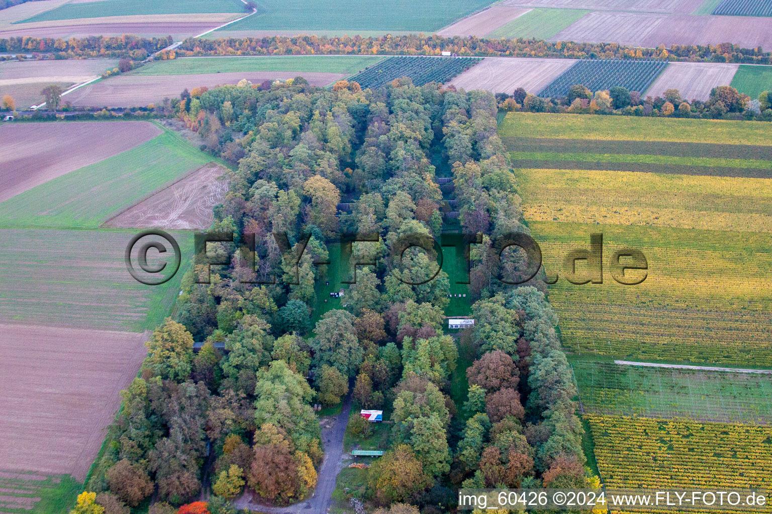 Vue oblique de Insheim dans le département Rhénanie-Palatinat, Allemagne