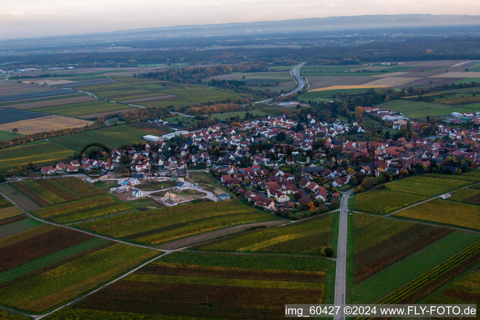 Insheim dans le département Rhénanie-Palatinat, Allemagne d'en haut