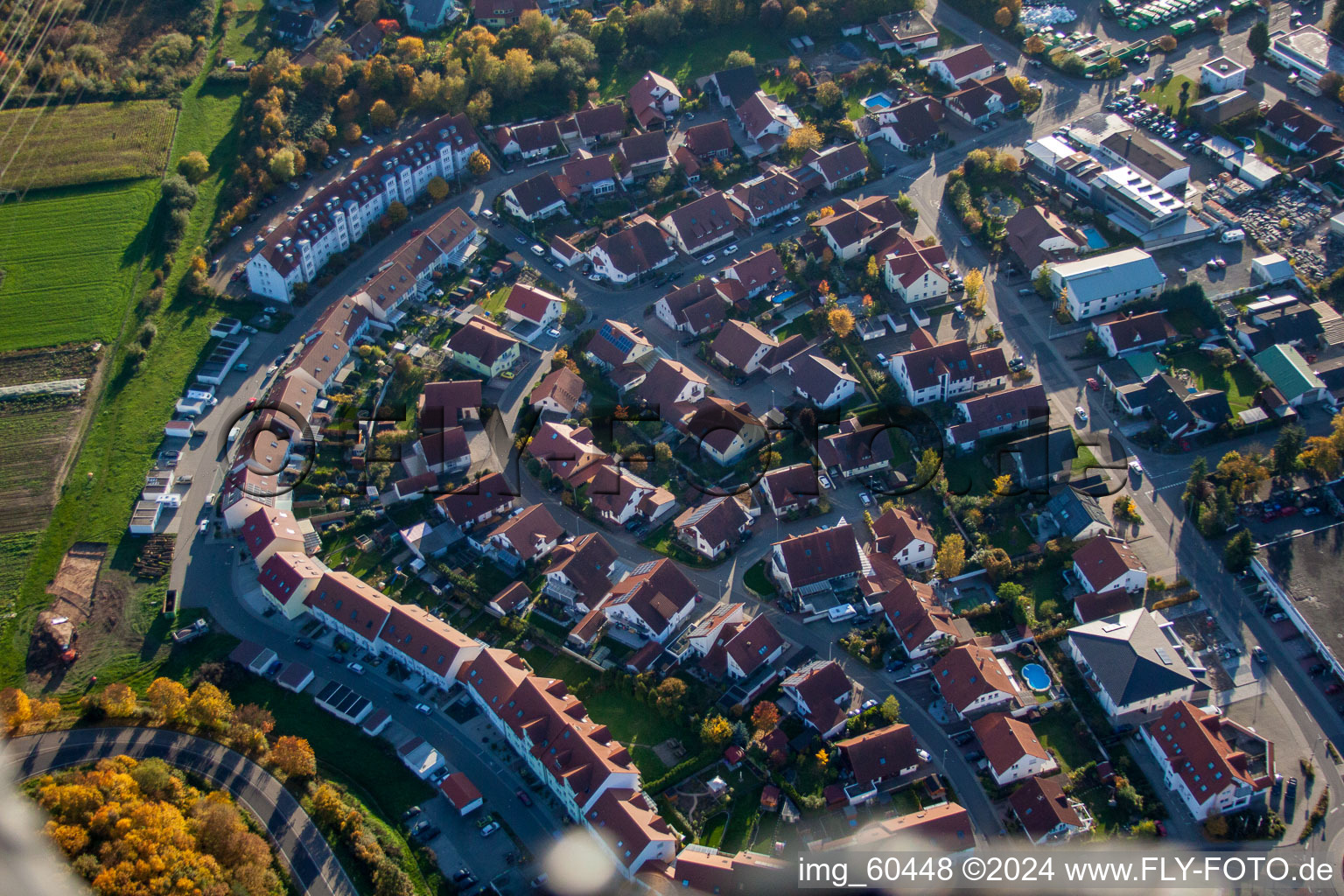 Vue oblique de S à Rülzheim dans le département Rhénanie-Palatinat, Allemagne