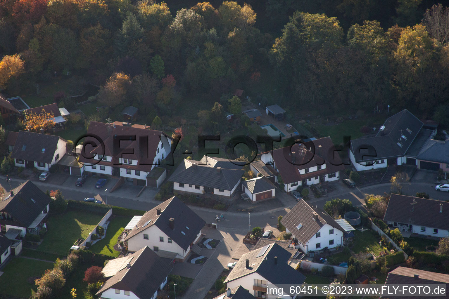 S à Rülzheim dans le département Rhénanie-Palatinat, Allemagne vue d'en haut
