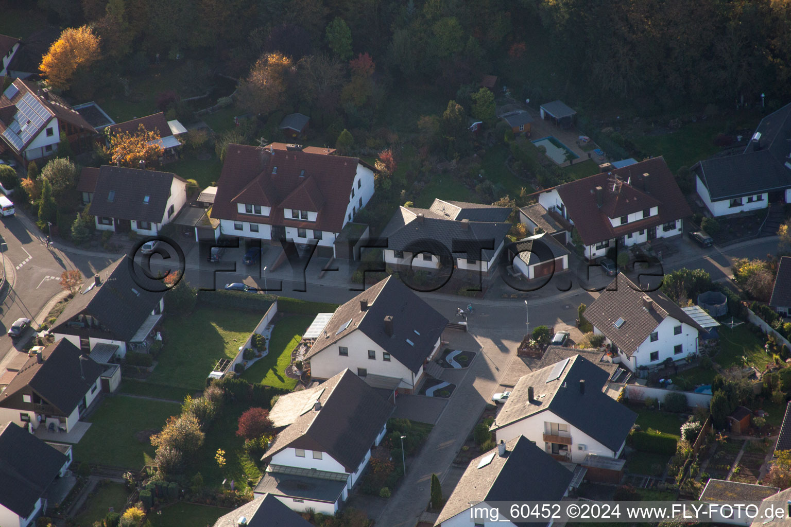 S à Rülzheim dans le département Rhénanie-Palatinat, Allemagne depuis l'avion