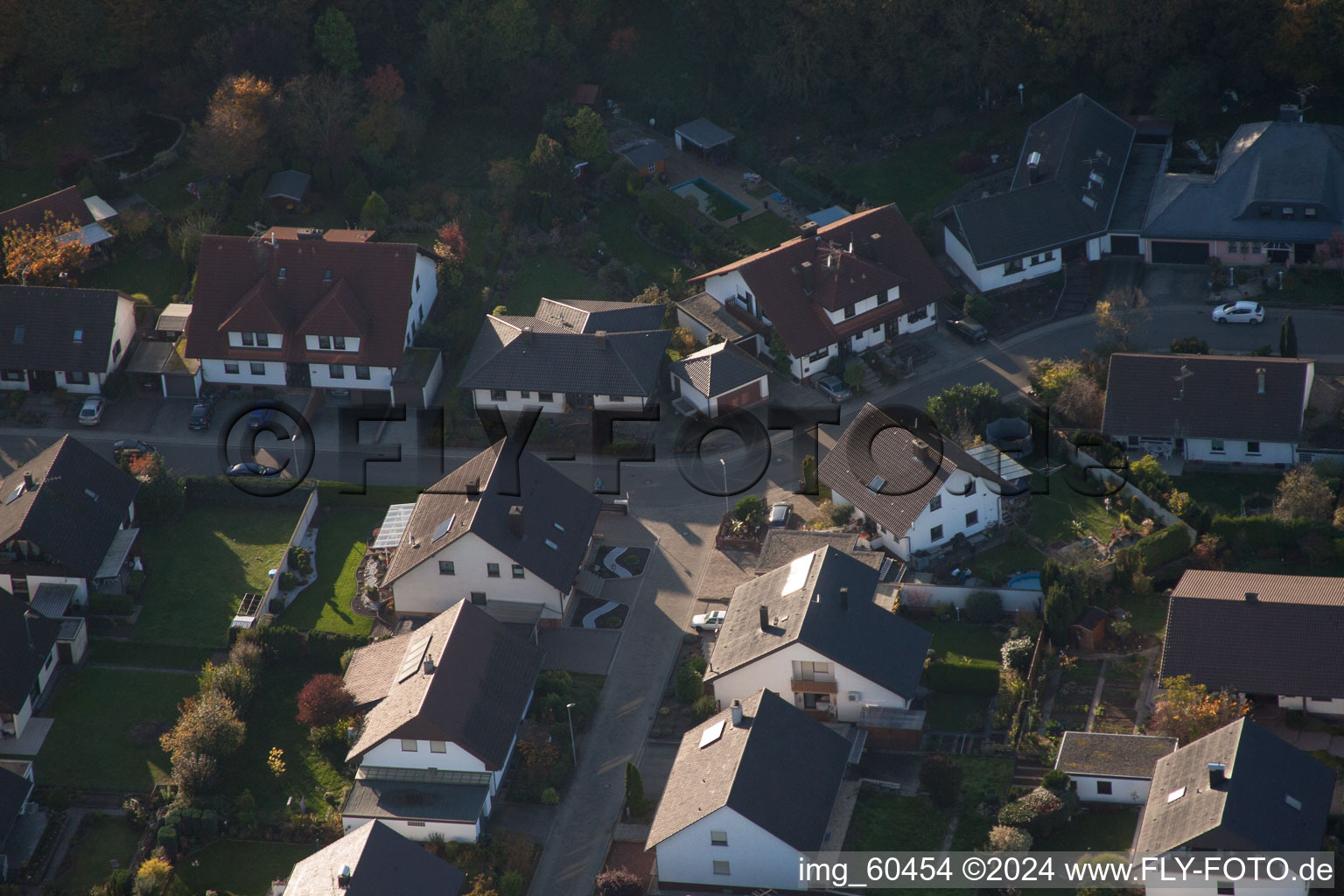 Vue d'oiseau de S à Rülzheim dans le département Rhénanie-Palatinat, Allemagne