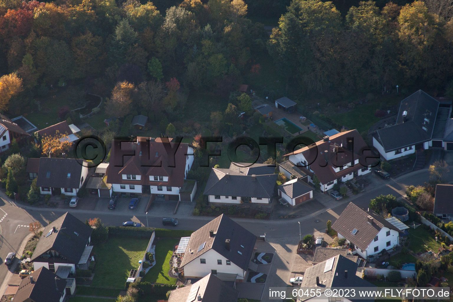 S à Rülzheim dans le département Rhénanie-Palatinat, Allemagne vue du ciel