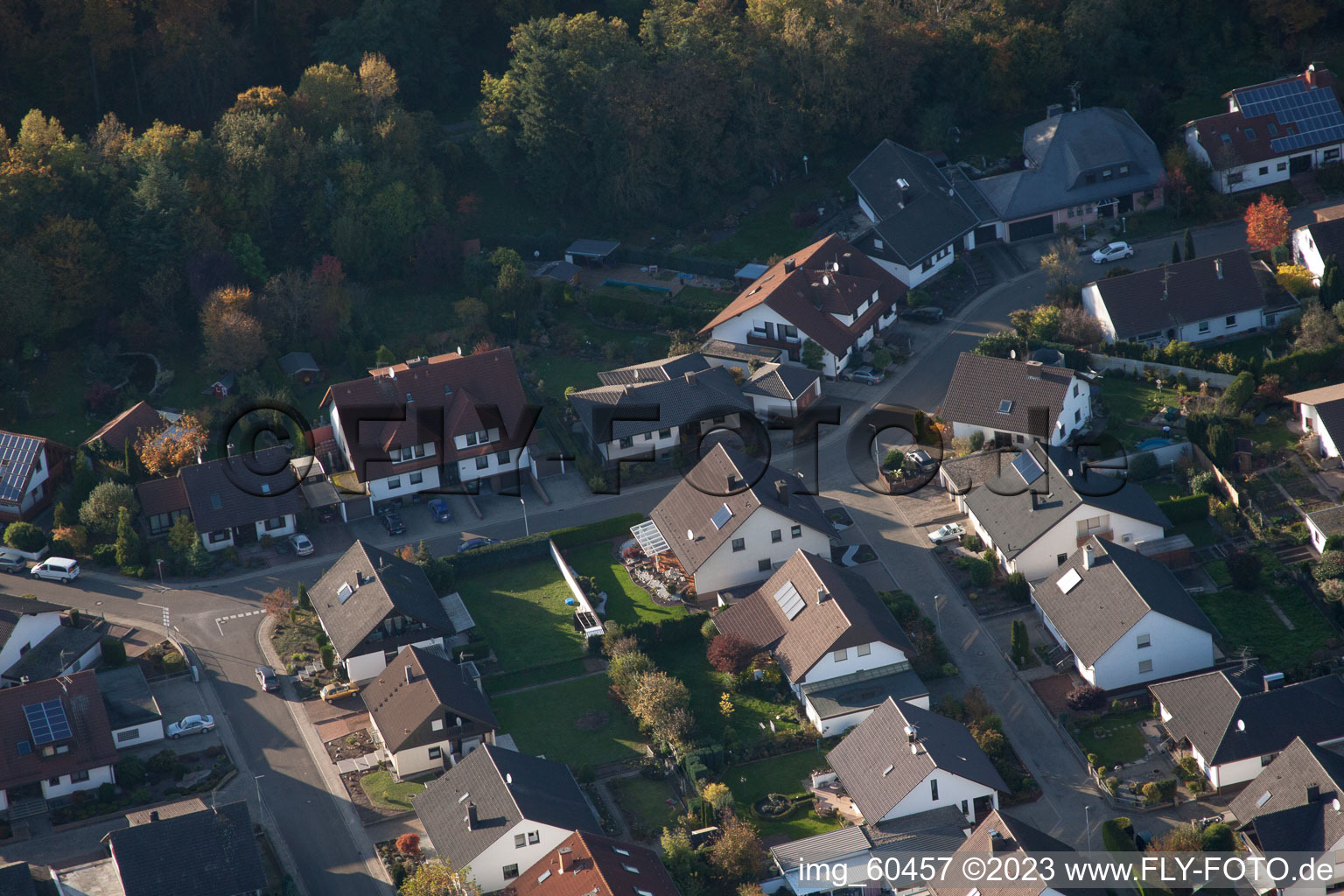 Image drone de S à Rülzheim dans le département Rhénanie-Palatinat, Allemagne