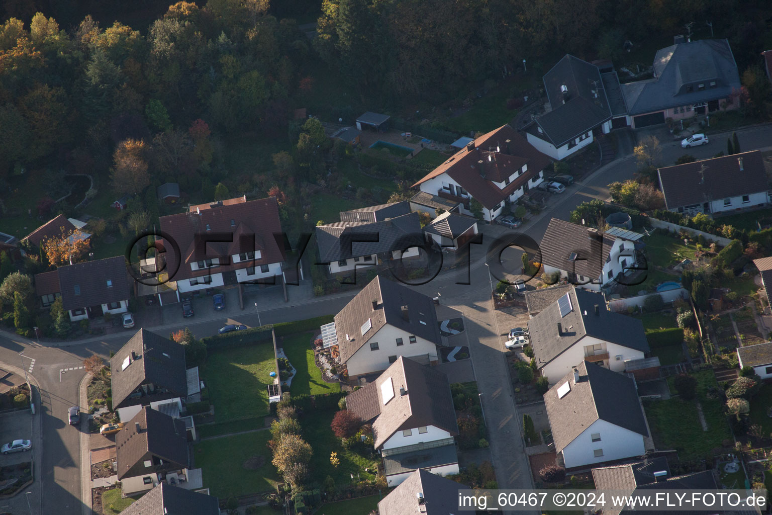 S à Rülzheim dans le département Rhénanie-Palatinat, Allemagne d'en haut