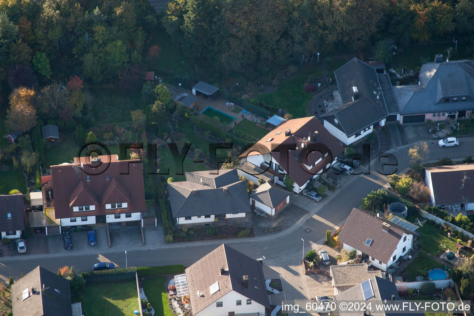 S à Rülzheim dans le département Rhénanie-Palatinat, Allemagne vue d'en haut