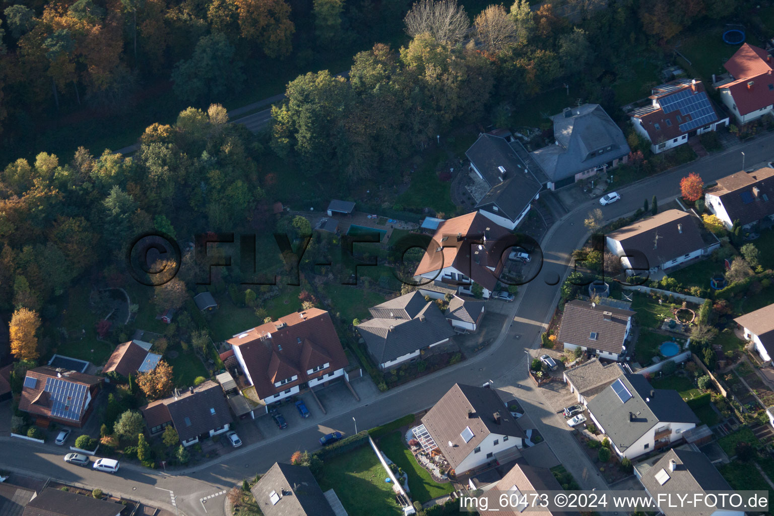 S à Rülzheim dans le département Rhénanie-Palatinat, Allemagne vue du ciel