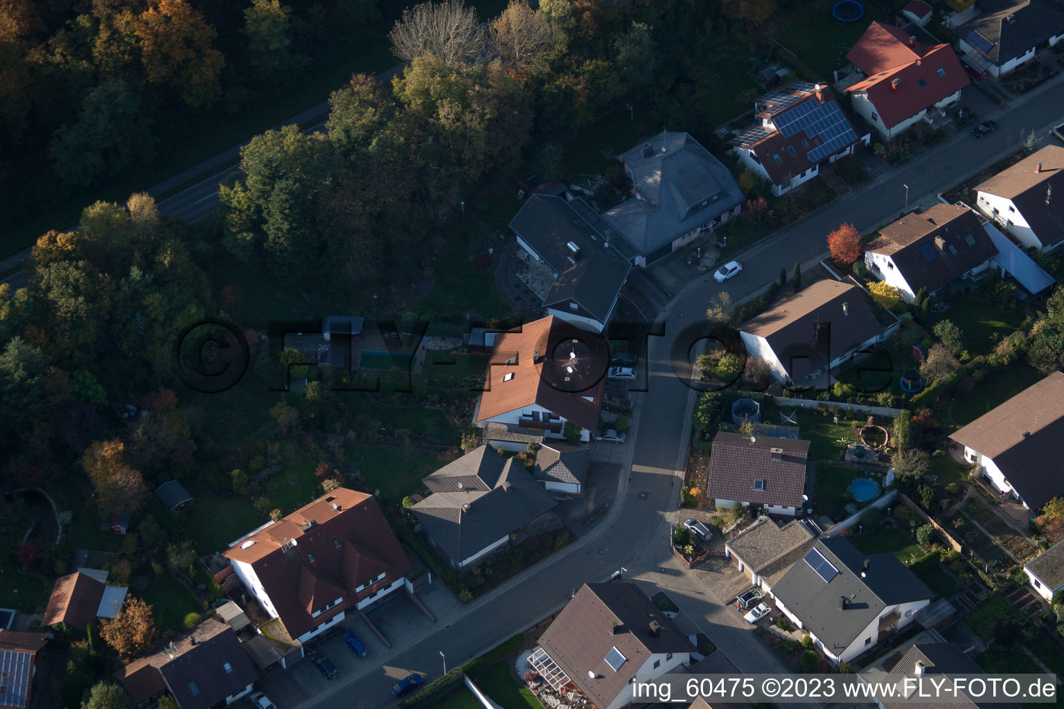 Image drone de S à Rülzheim dans le département Rhénanie-Palatinat, Allemagne