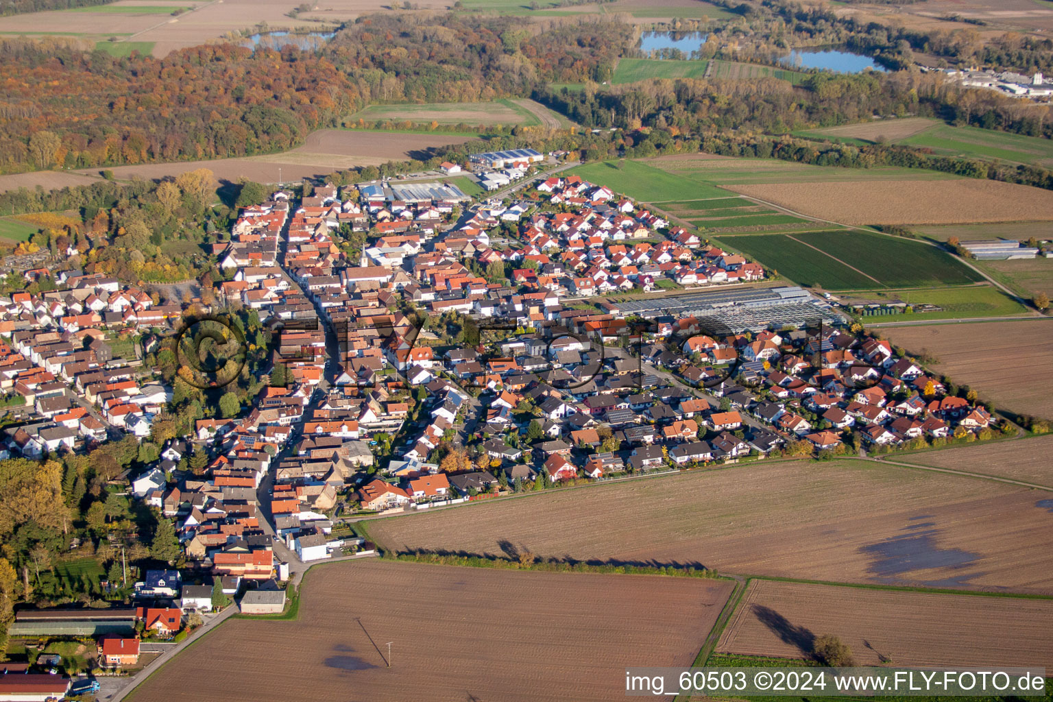 Kuhardt dans le département Rhénanie-Palatinat, Allemagne du point de vue du drone