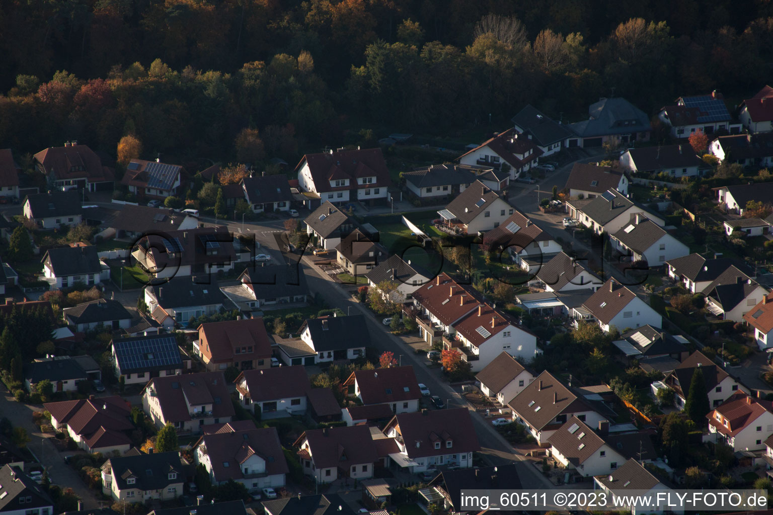 S à Rülzheim dans le département Rhénanie-Palatinat, Allemagne vu d'un drone