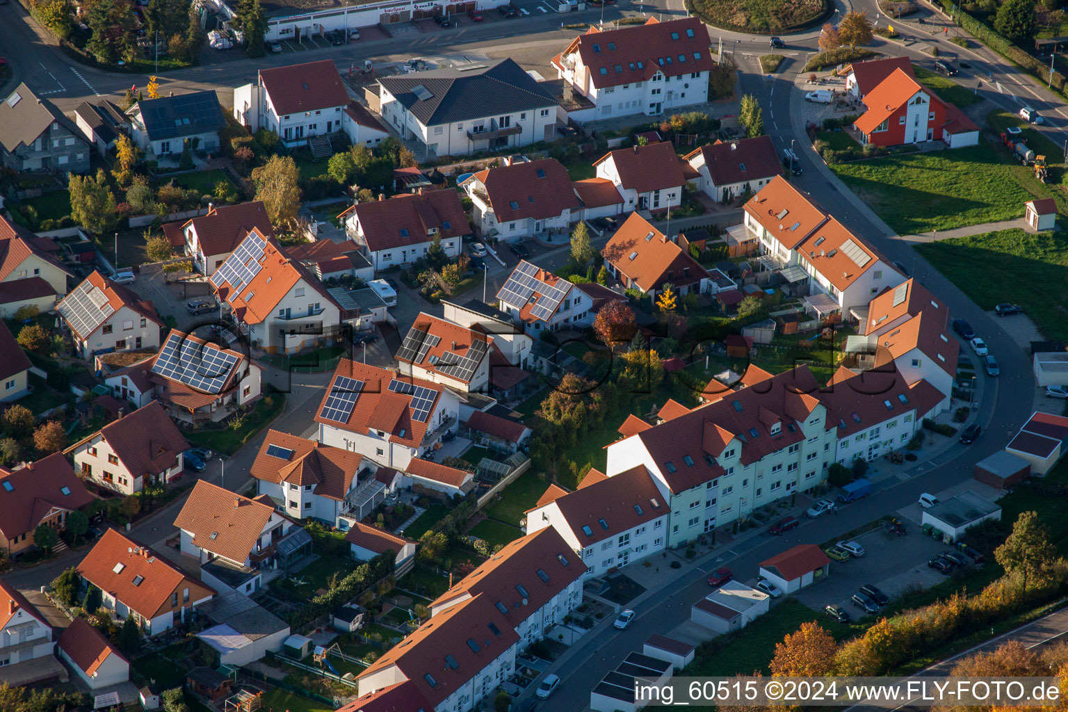 Vue oblique de S à Rülzheim dans le département Rhénanie-Palatinat, Allemagne