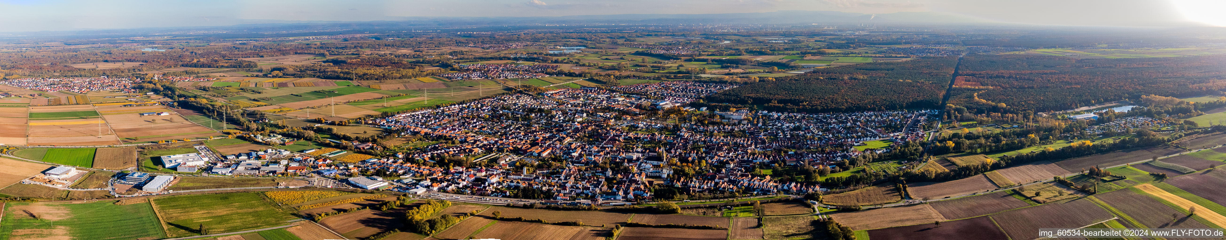 Vue aérienne de Vue panoramique en perspective des rues et des maisons des quartiers résidentiels à Rülzheim dans le département Rhénanie-Palatinat, Allemagne