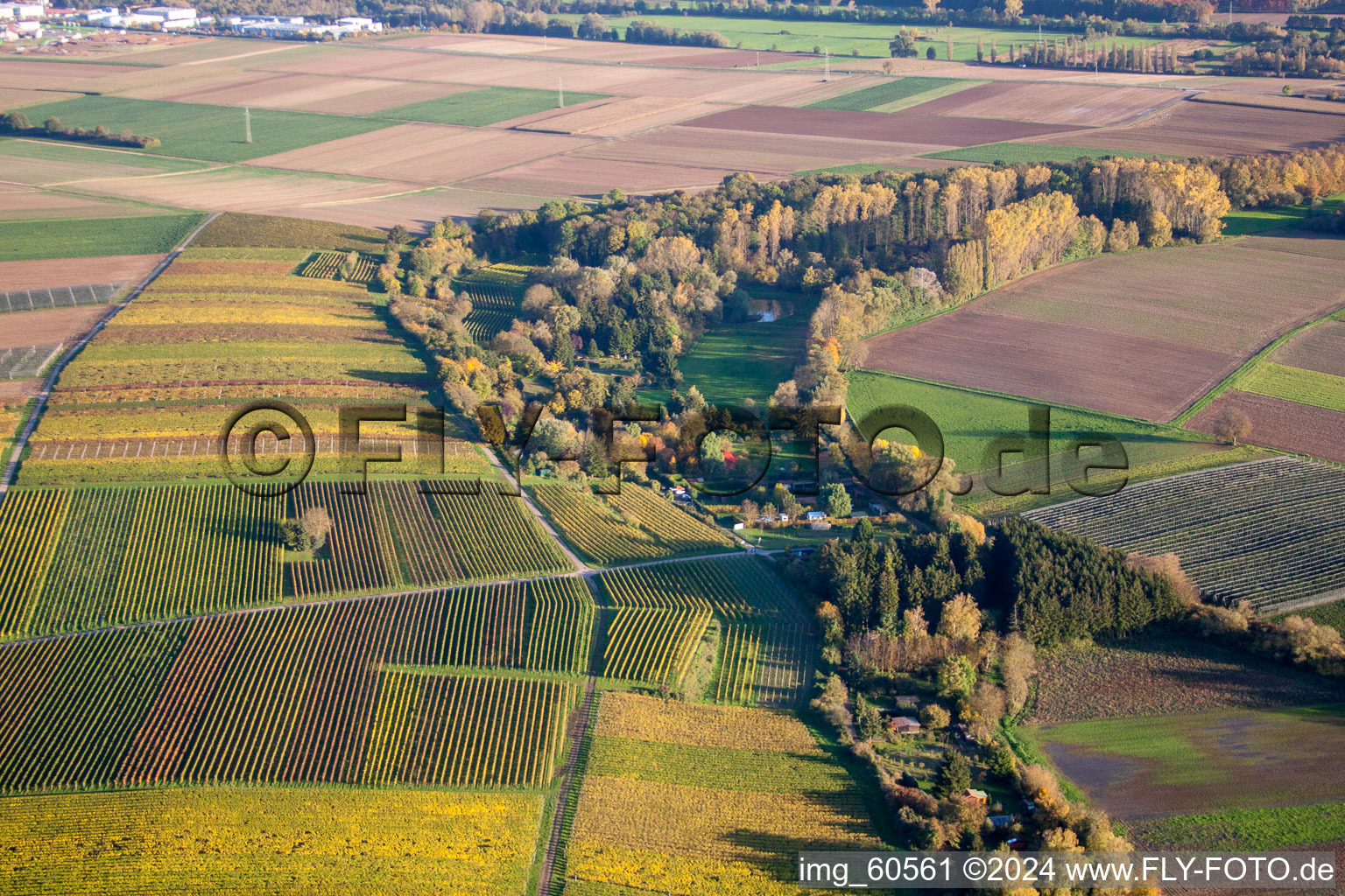 Insheim dans le département Rhénanie-Palatinat, Allemagne depuis l'avion