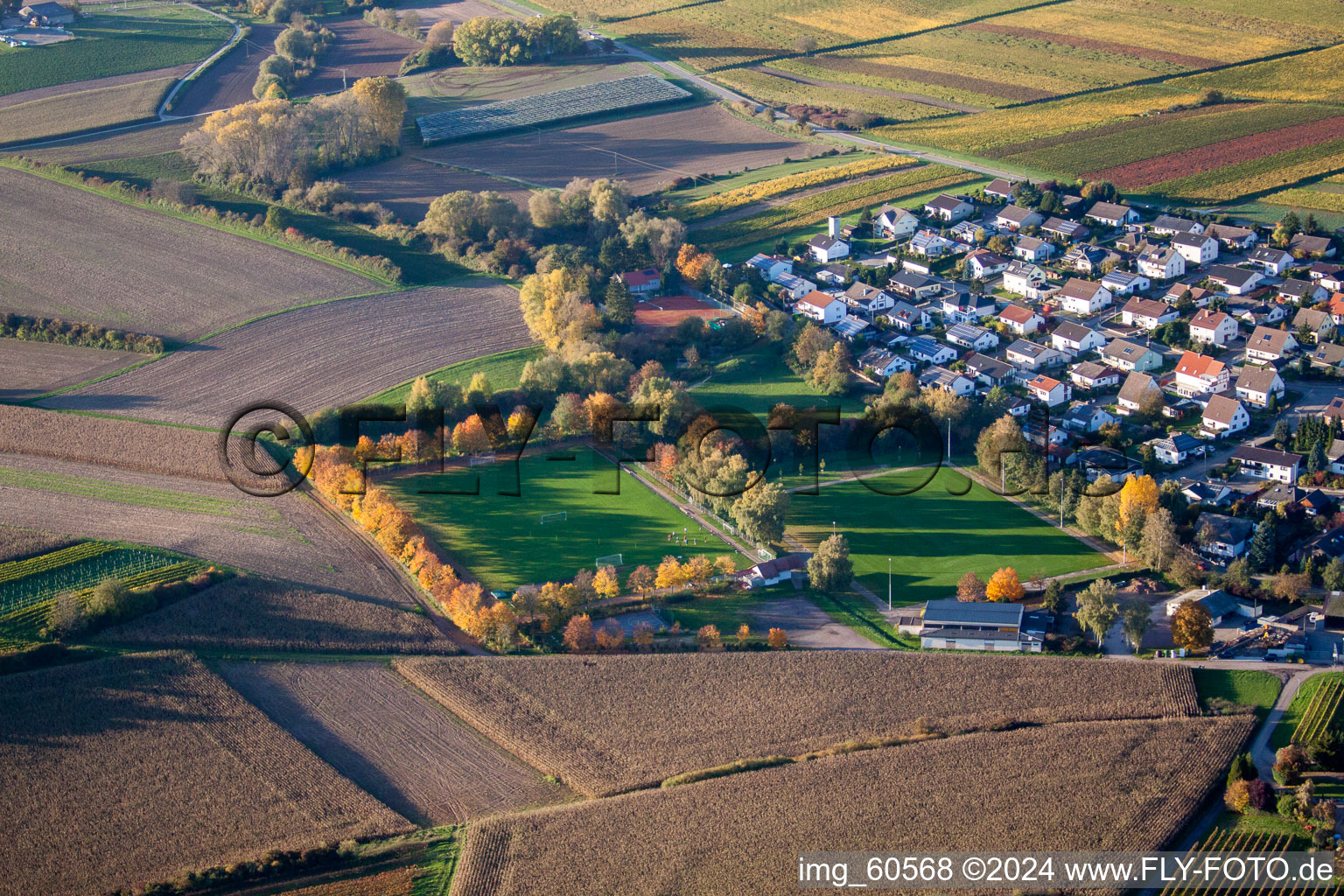 Vue d'oiseau de Insheim dans le département Rhénanie-Palatinat, Allemagne