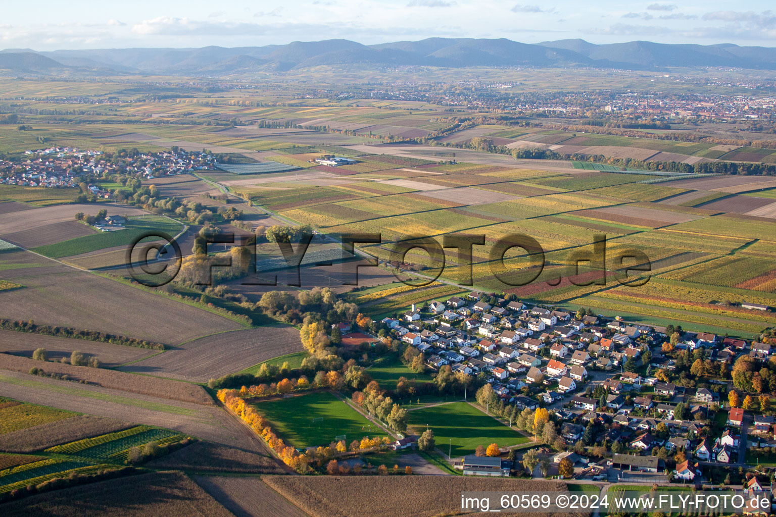 Insheim dans le département Rhénanie-Palatinat, Allemagne vue du ciel