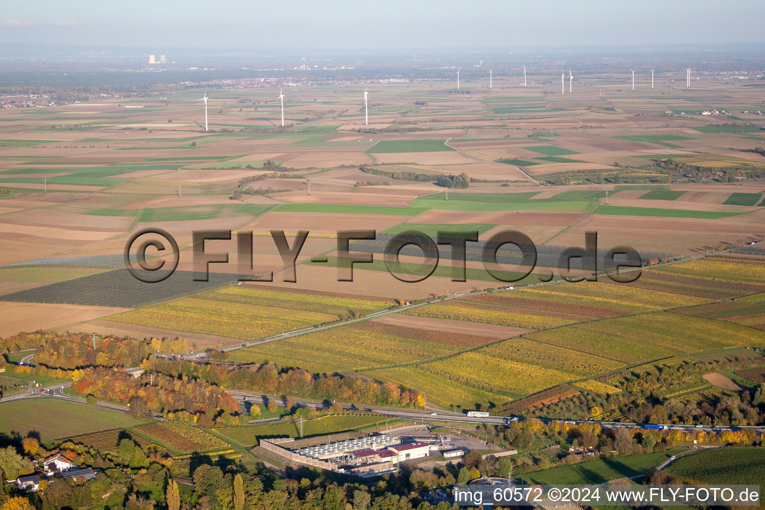 Insheim dans le département Rhénanie-Palatinat, Allemagne du point de vue du drone