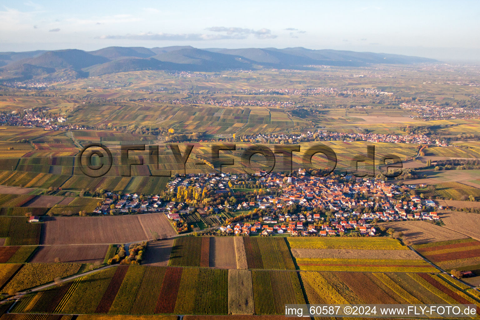 Quartier Mörzheim in Landau in der Pfalz dans le département Rhénanie-Palatinat, Allemagne du point de vue du drone