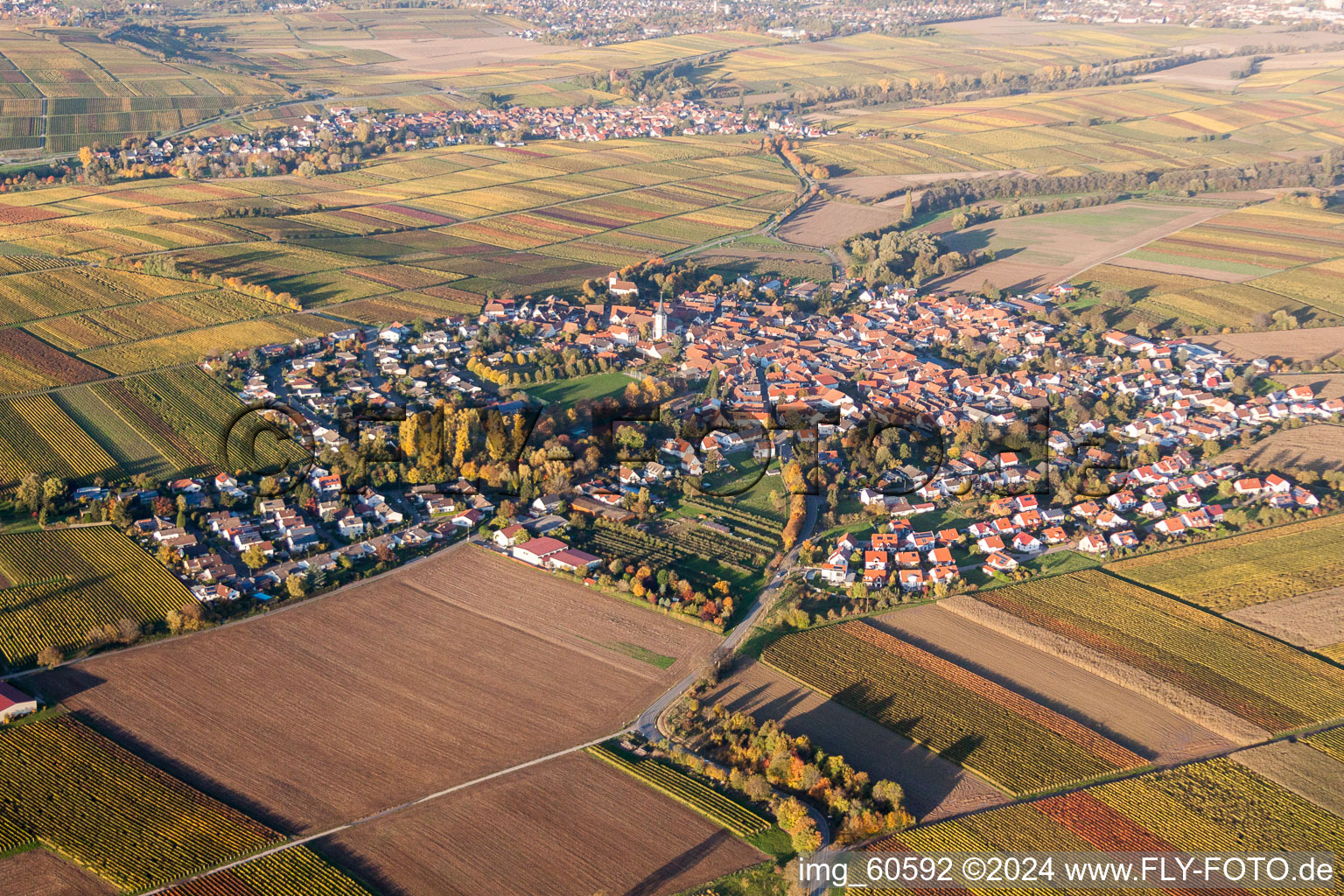 Vue oblique de Vue sur le village à le quartier Mörzheim in Landau in der Pfalz dans le département Rhénanie-Palatinat, Allemagne