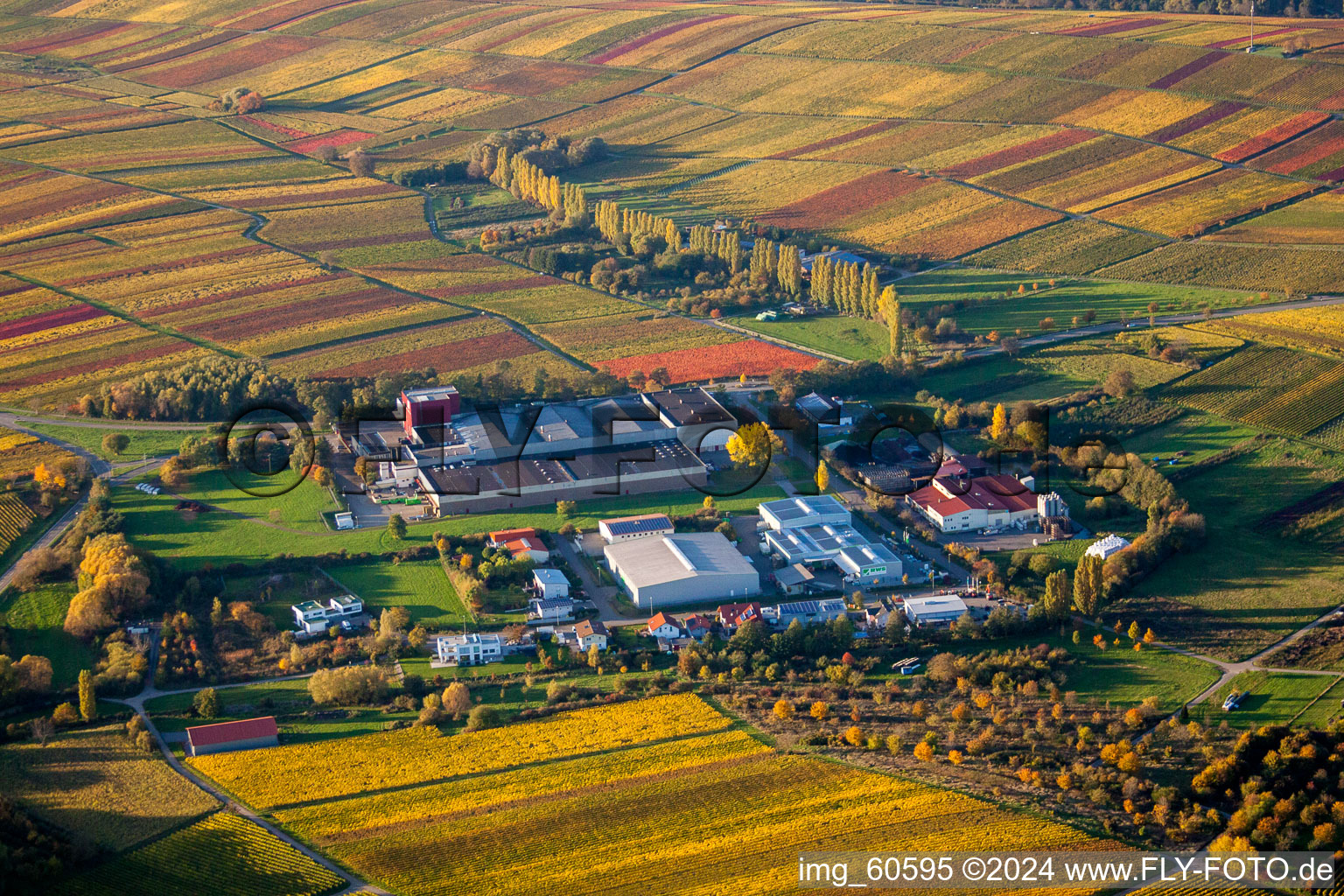 Petit kalmit à Ilbesheim bei Landau in der Pfalz dans le département Rhénanie-Palatinat, Allemagne depuis l'avion