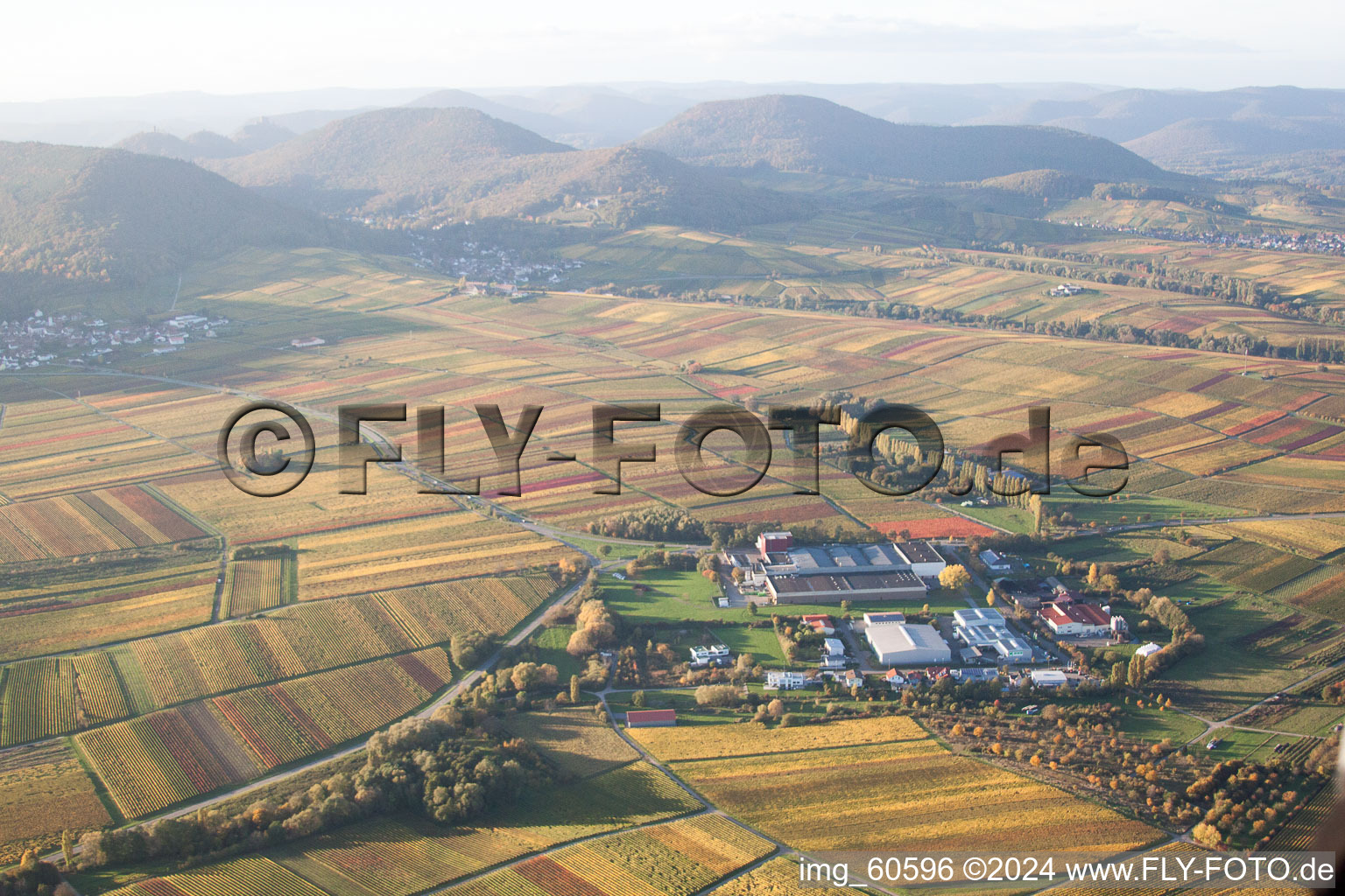 Vue d'oiseau de Petit kalmit à Ilbesheim bei Landau in der Pfalz dans le département Rhénanie-Palatinat, Allemagne