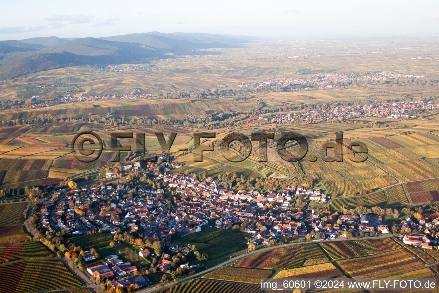 Enregistrement par drone de Petit kalmit à Ilbesheim bei Landau in der Pfalz dans le département Rhénanie-Palatinat, Allemagne