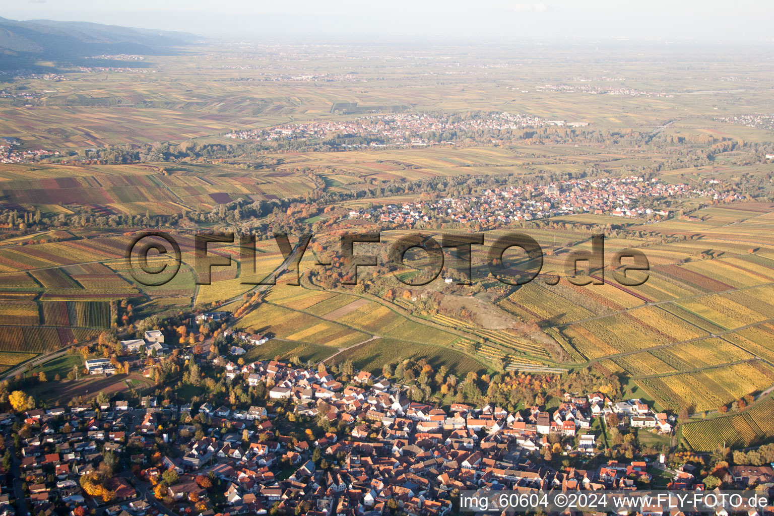 Petit kalmit à Ilbesheim bei Landau in der Pfalz dans le département Rhénanie-Palatinat, Allemagne d'un drone