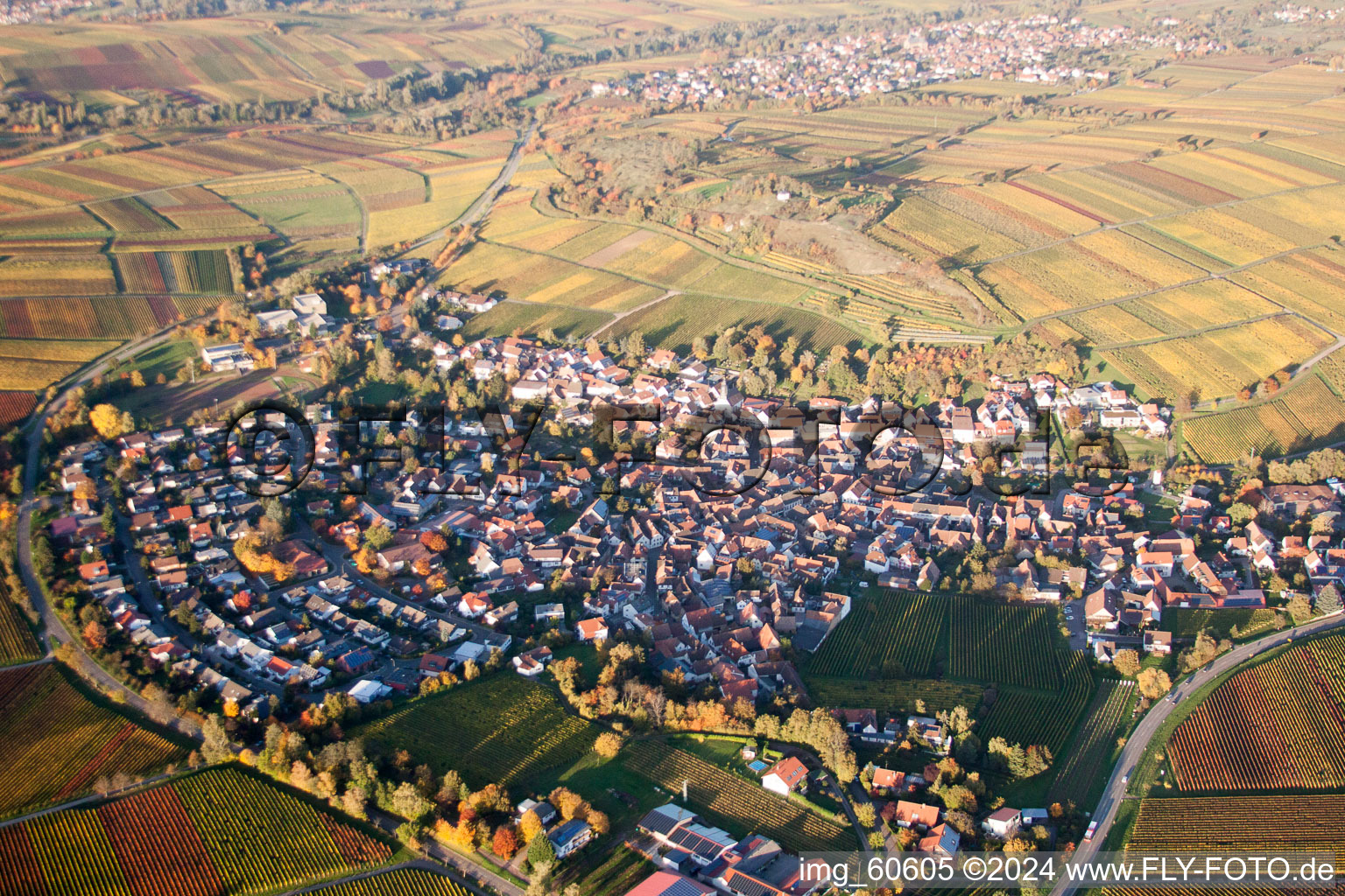 Petit kalmit à Ilbesheim bei Landau in der Pfalz dans le département Rhénanie-Palatinat, Allemagne vu d'un drone