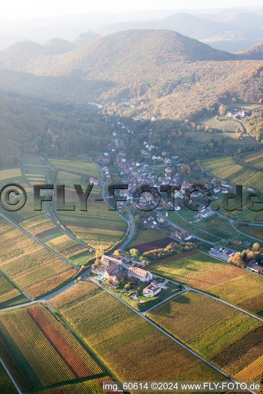 Leinsweiler mètre à Leinsweiler dans le département Rhénanie-Palatinat, Allemagne depuis l'avion