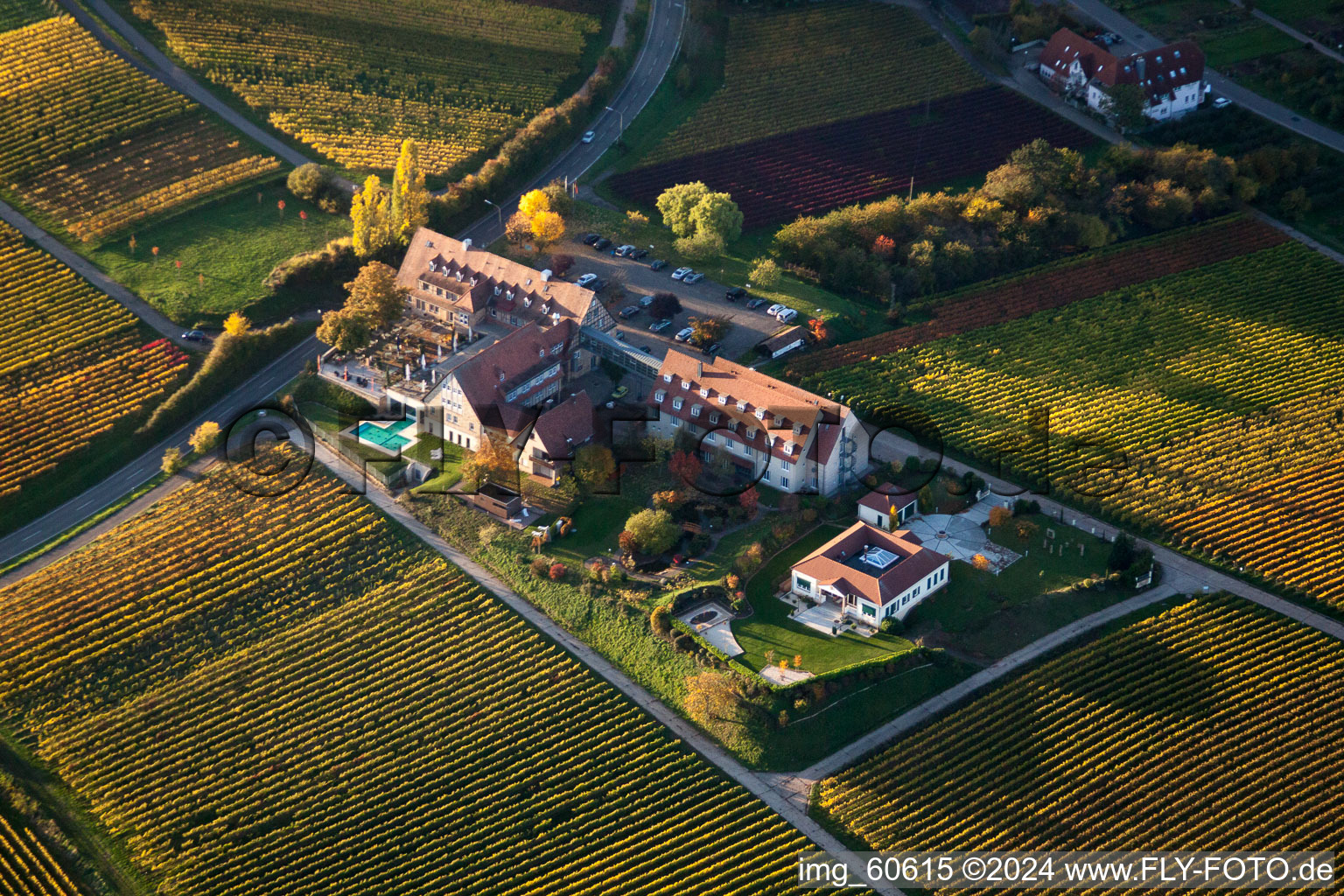 Vue d'oiseau de Leinsweiler mètre à Leinsweiler dans le département Rhénanie-Palatinat, Allemagne