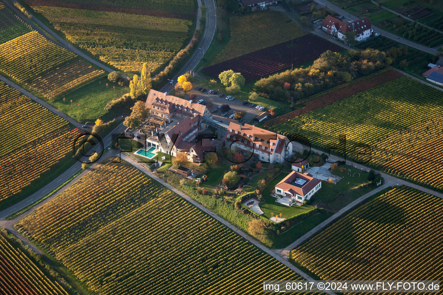 Enregistrement par drone de Leinsweiler mètre à Leinsweiler dans le département Rhénanie-Palatinat, Allemagne