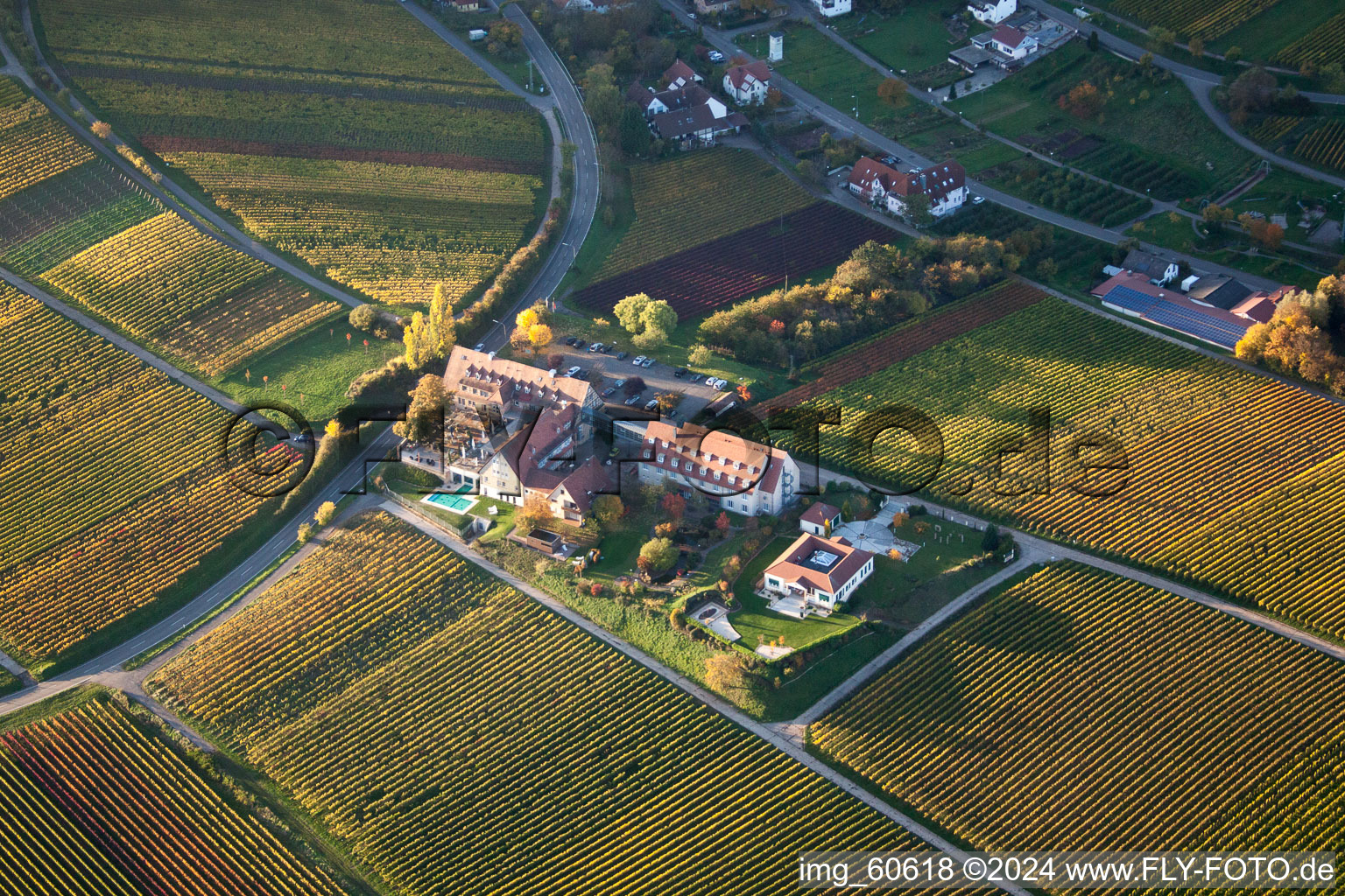 Image drone de Leinsweiler mètre à Leinsweiler dans le département Rhénanie-Palatinat, Allemagne