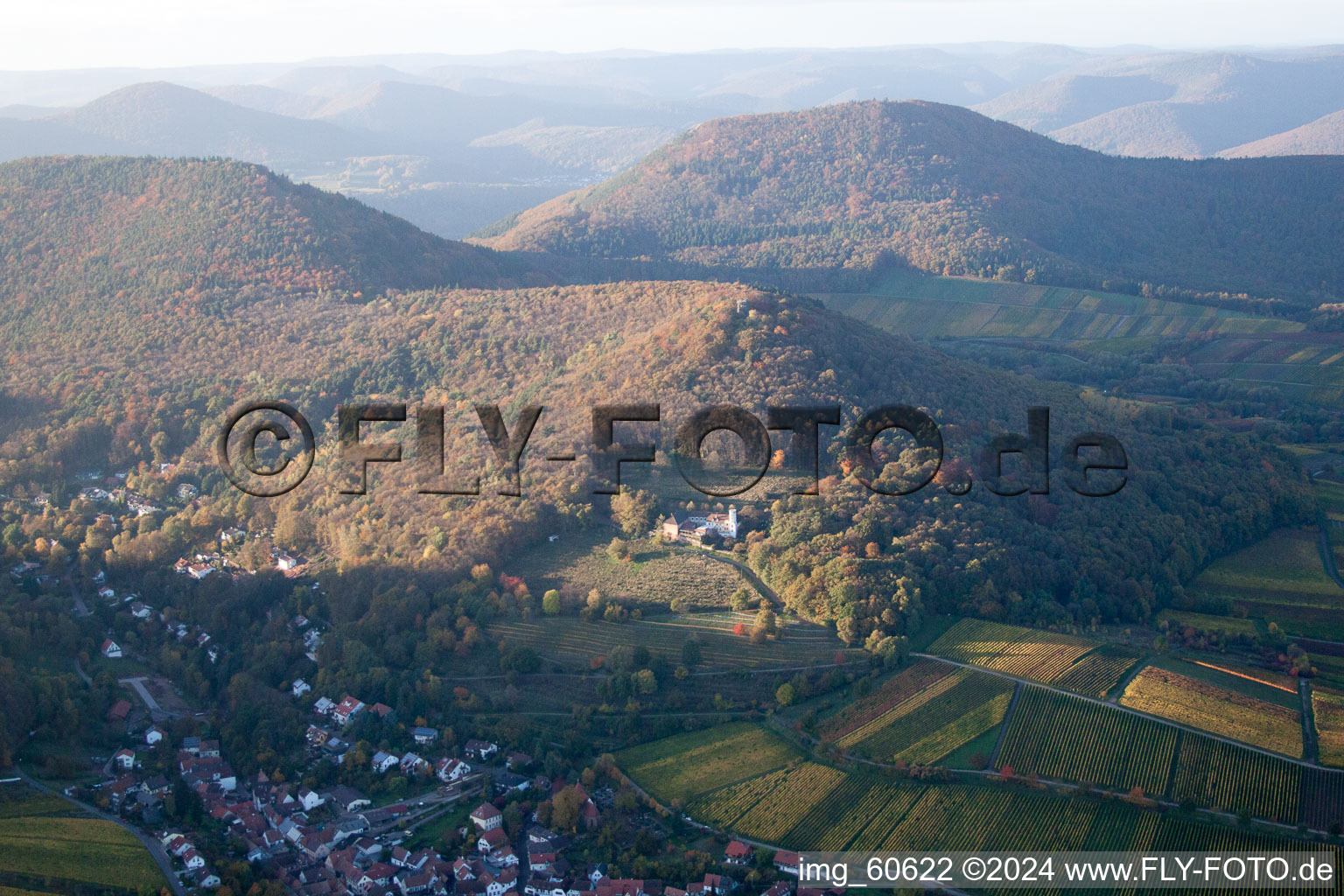 Leinsweiler dans le département Rhénanie-Palatinat, Allemagne depuis l'avion