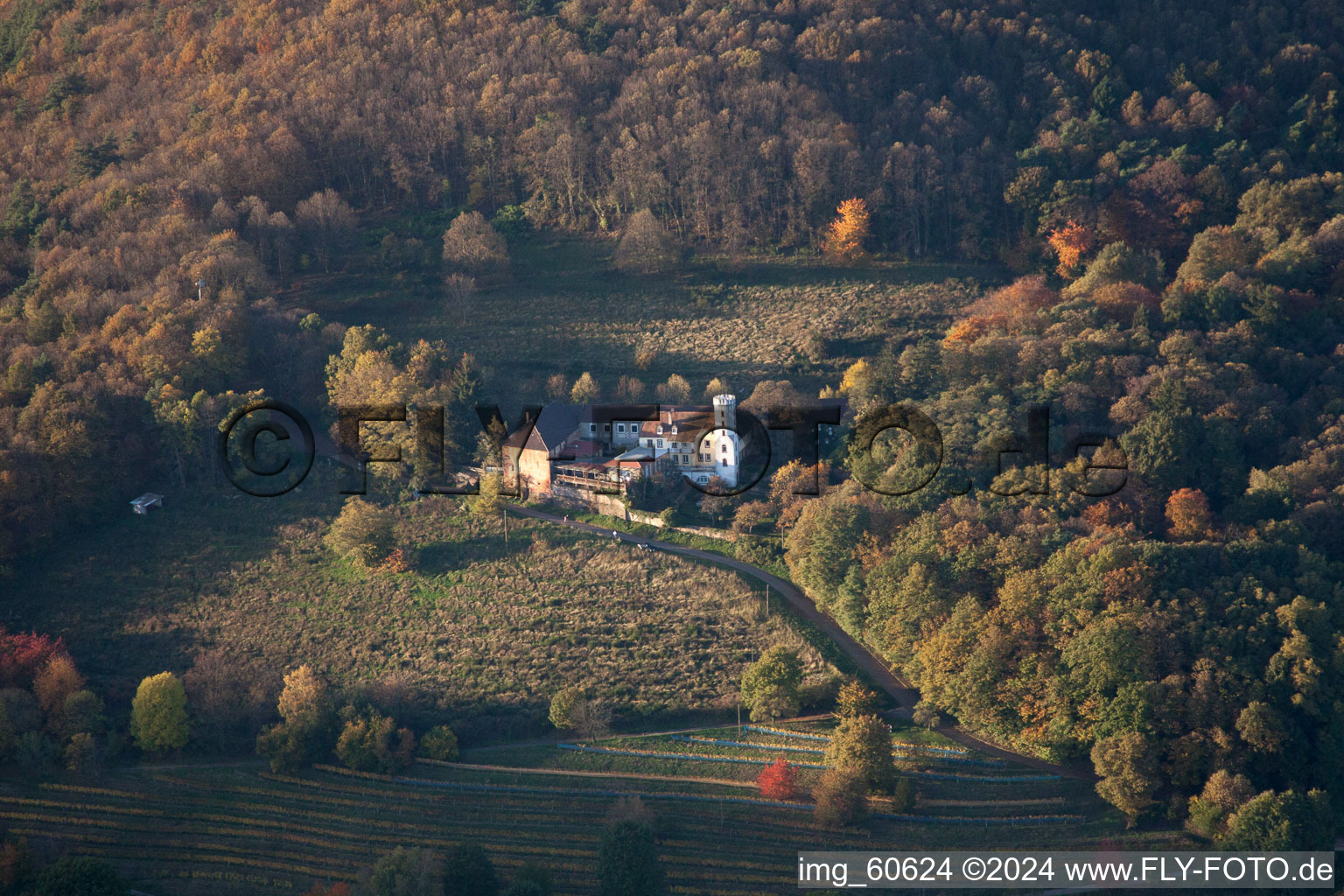 Vue aérienne de Ferme de Slevogt à Leinsweiler dans le département Rhénanie-Palatinat, Allemagne