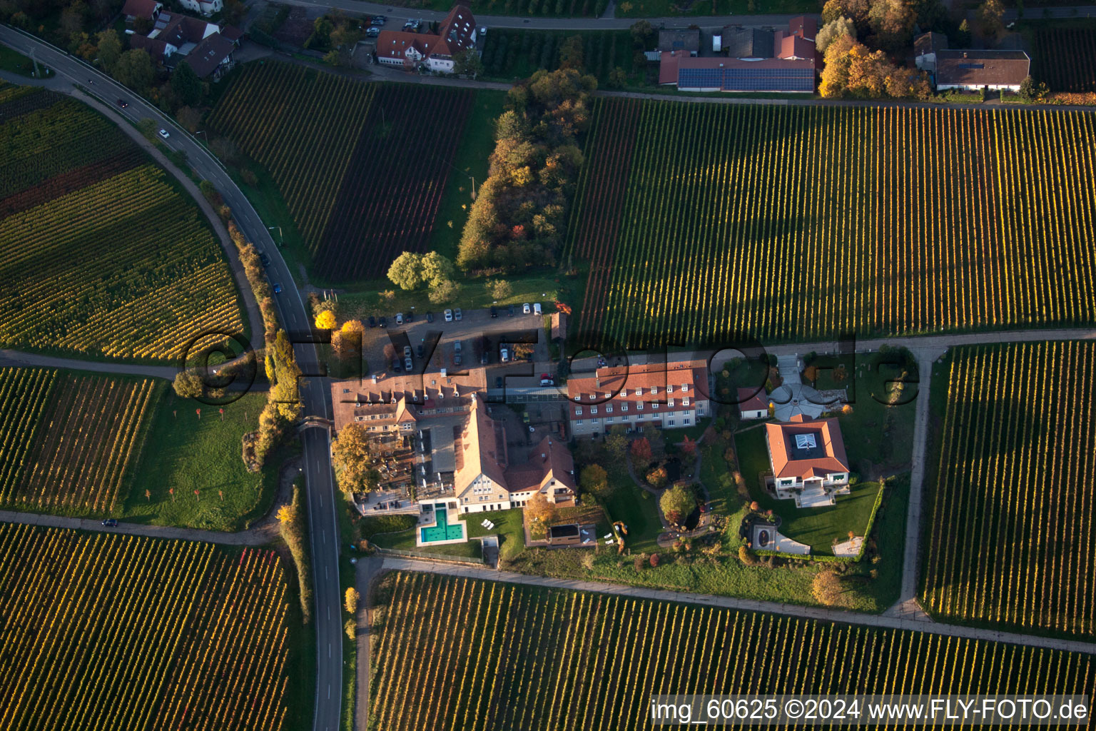 Leinsweiler mètre à Leinsweiler dans le département Rhénanie-Palatinat, Allemagne du point de vue du drone