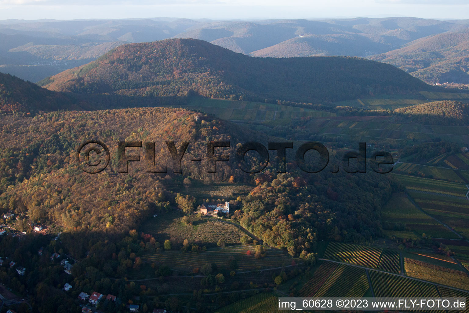 Photographie aérienne de Ferme de Slevogt à Leinsweiler dans le département Rhénanie-Palatinat, Allemagne