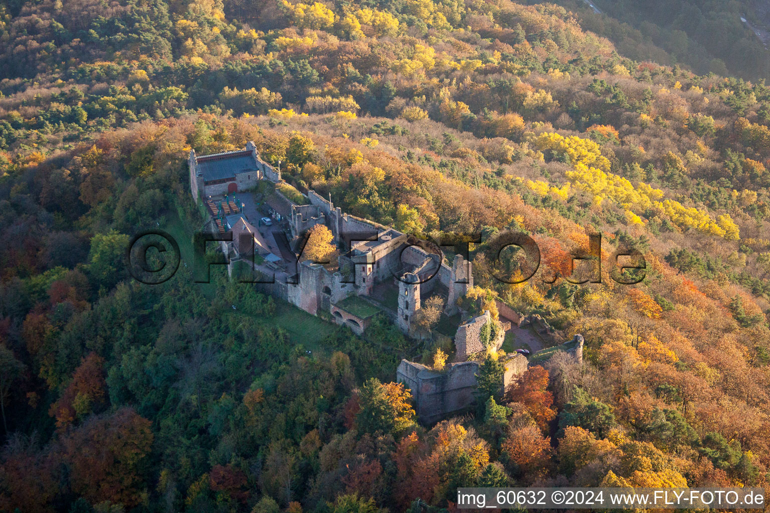 Madenbourg à Eschbach dans le département Rhénanie-Palatinat, Allemagne vue d'en haut