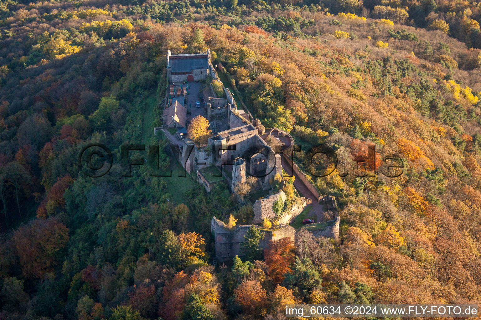 Vue d'oiseau de Madenbourg à Eschbach dans le département Rhénanie-Palatinat, Allemagne