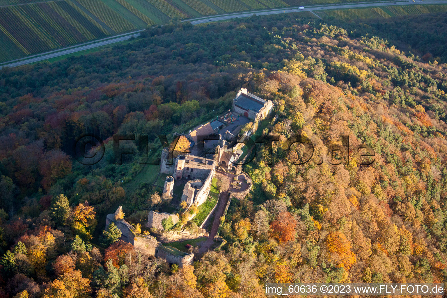 Madenbourg à Eschbach dans le département Rhénanie-Palatinat, Allemagne vue du ciel