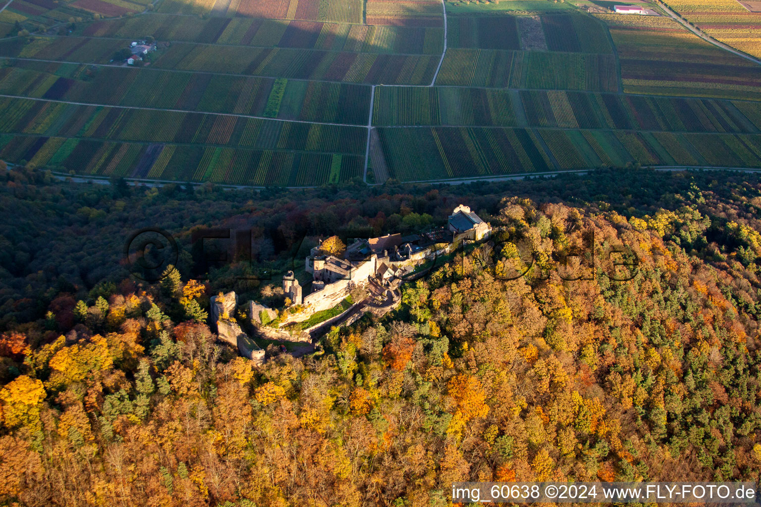 Image drone de Madenbourg à Eschbach dans le département Rhénanie-Palatinat, Allemagne