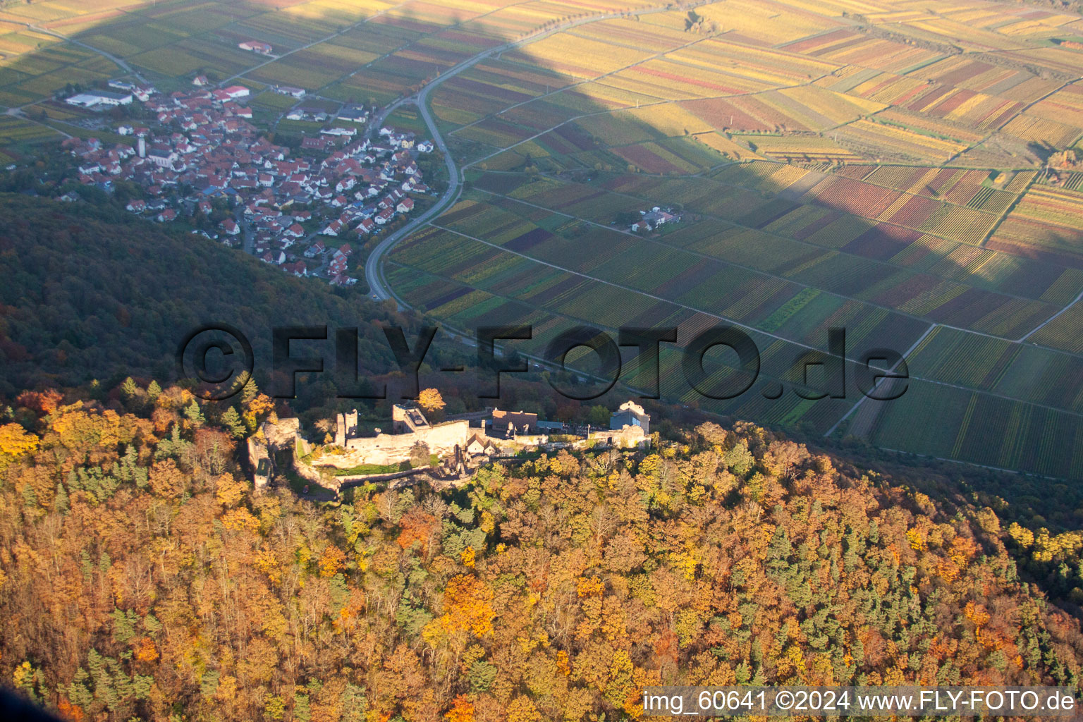 Madenbourg à Eschbach dans le département Rhénanie-Palatinat, Allemagne du point de vue du drone