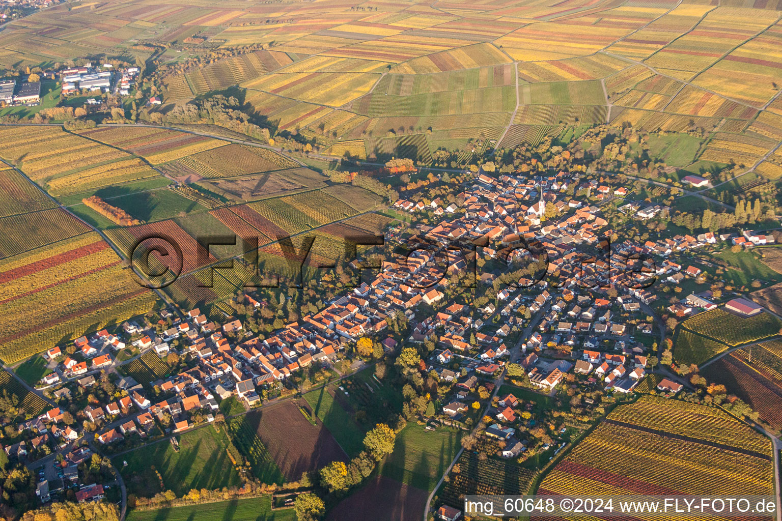 Vue aérienne de Lumière du soir d'automne au bord des champs à Göcklingen dans le département Rhénanie-Palatinat, Allemagne