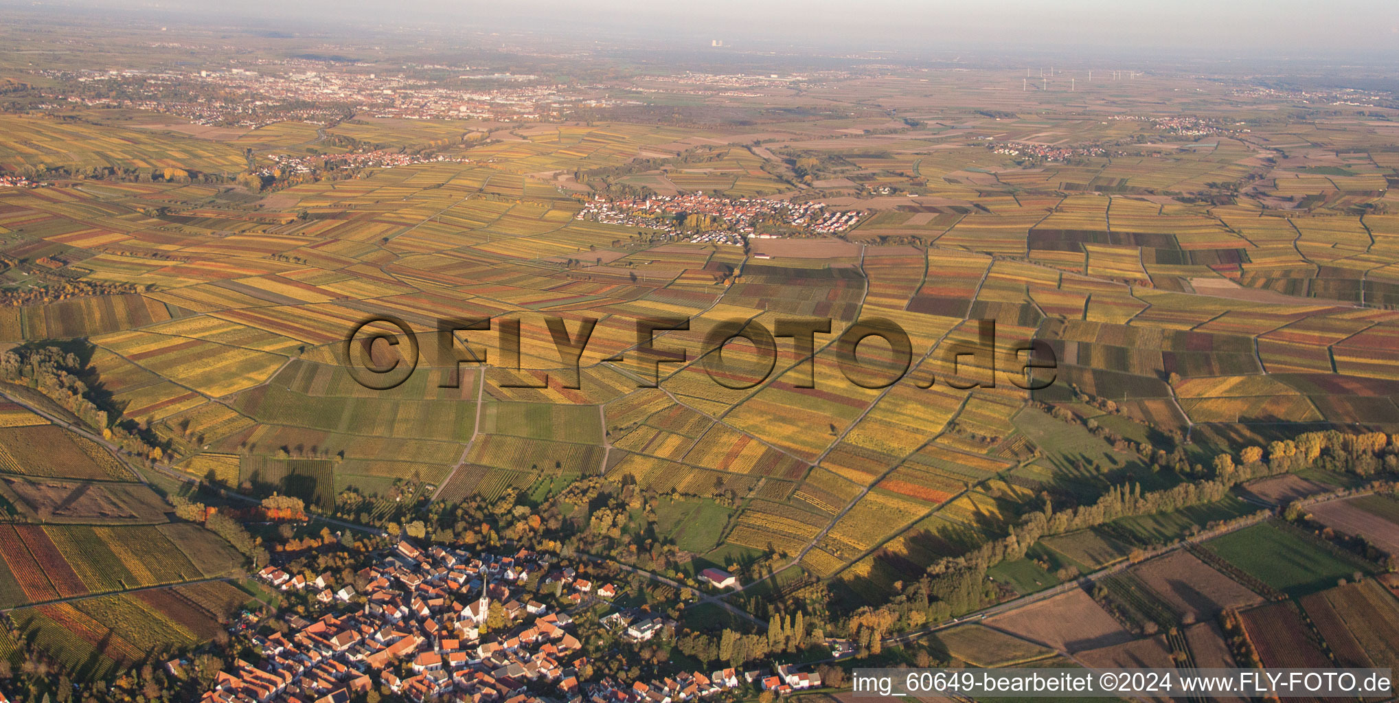 Vue aérienne de Perspective panoramique de la lumière du soir d'automne au bord des champs à Göcklingen dans le département Rhénanie-Palatinat, Allemagne