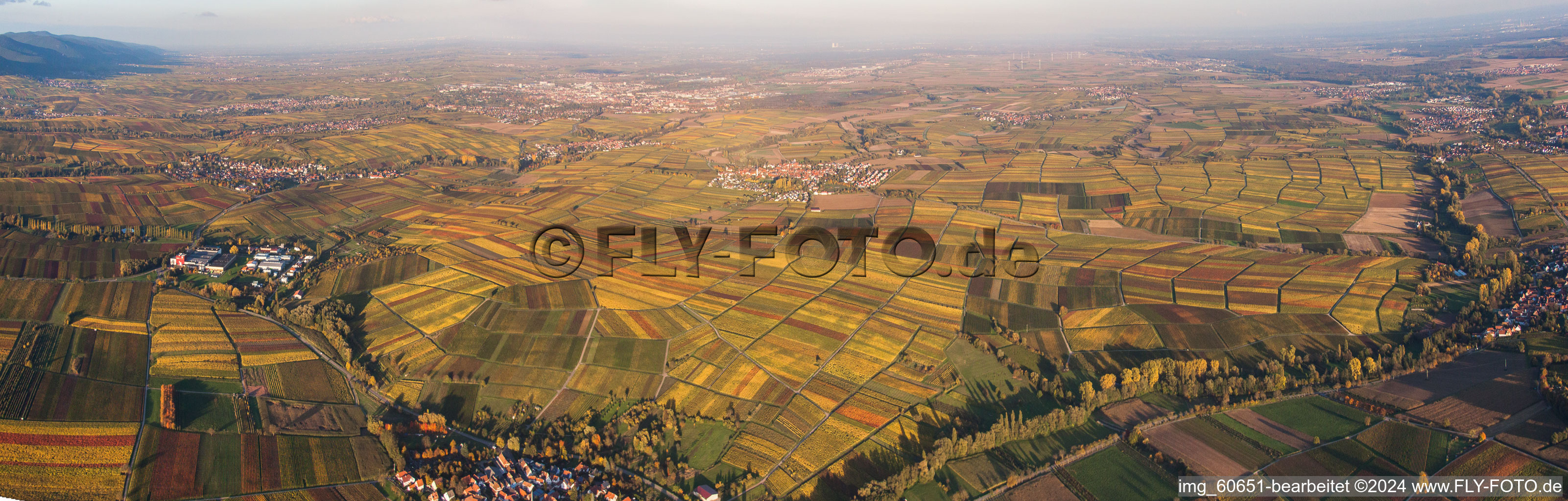 Vue aérienne de Vignobles SÜW à le quartier Mörzheim in Landau in der Pfalz dans le département Rhénanie-Palatinat, Allemagne